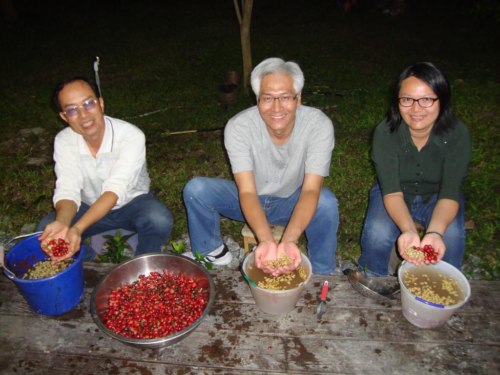 タロコ シアリン コーヒー ファーム ホームステイ 秀林郷 エクステリア 写真